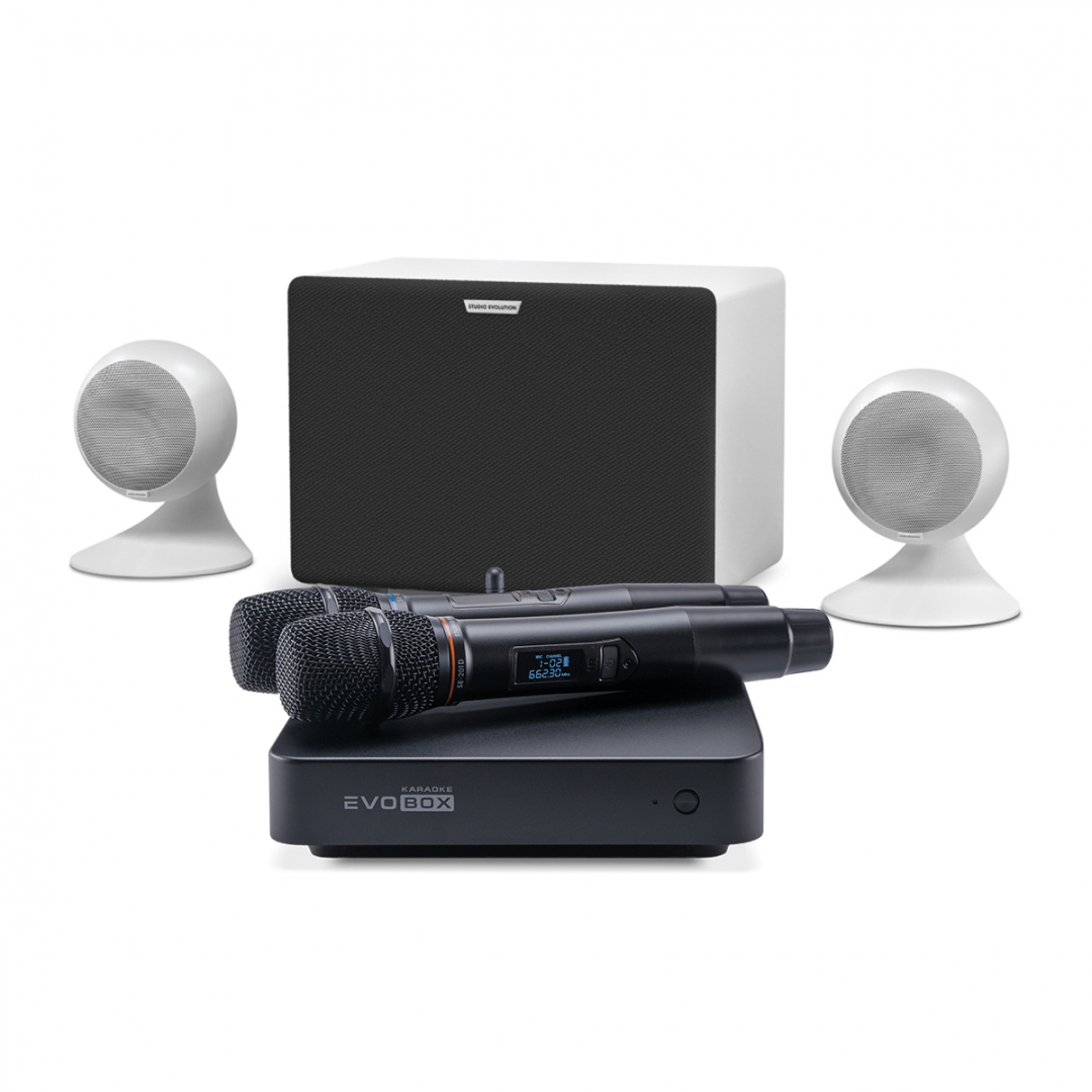 караоке-комплект EVOBOX Classic + EvoSound Sphere 2.1 в Тамани